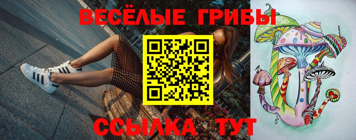 Галлюциногенные грибы Psilocybe Белгород