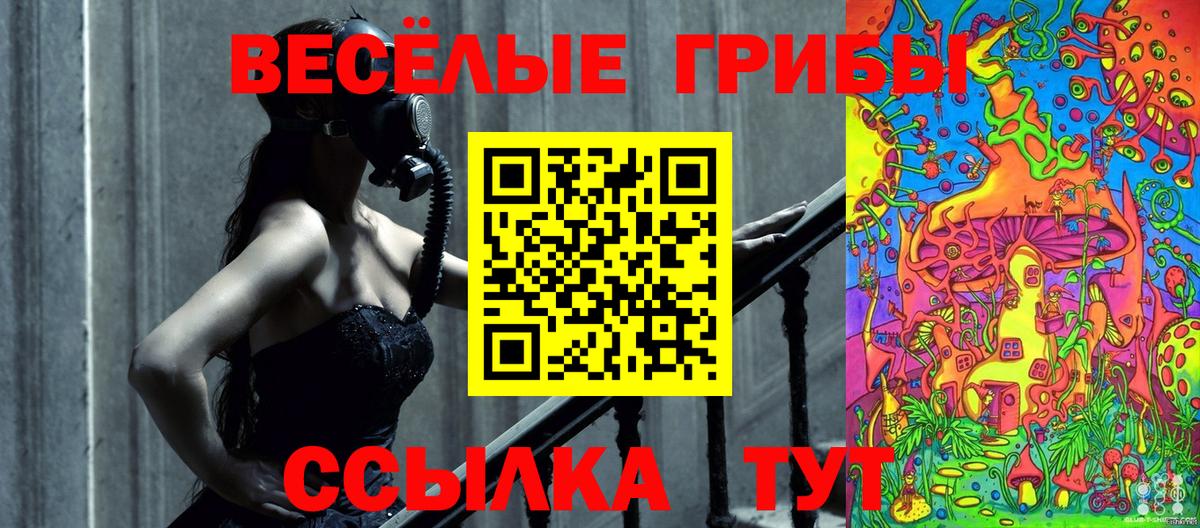 Белгород  Псилоцибиновые грибы мухоморы  Вход с VPN 